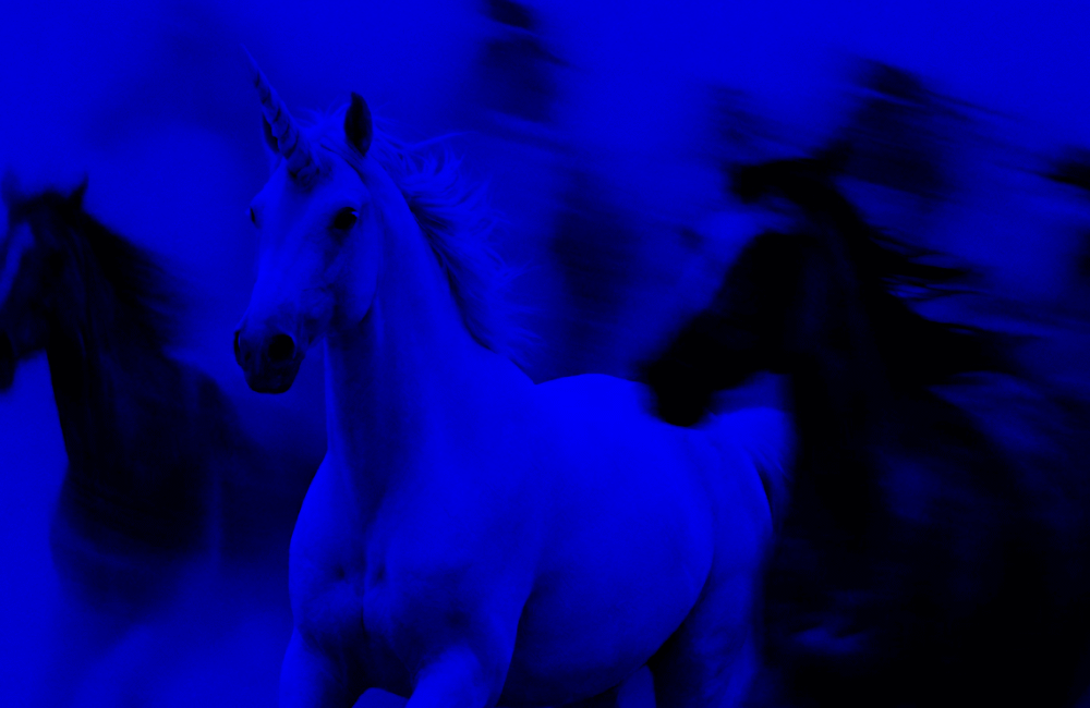 unicorn-twineich